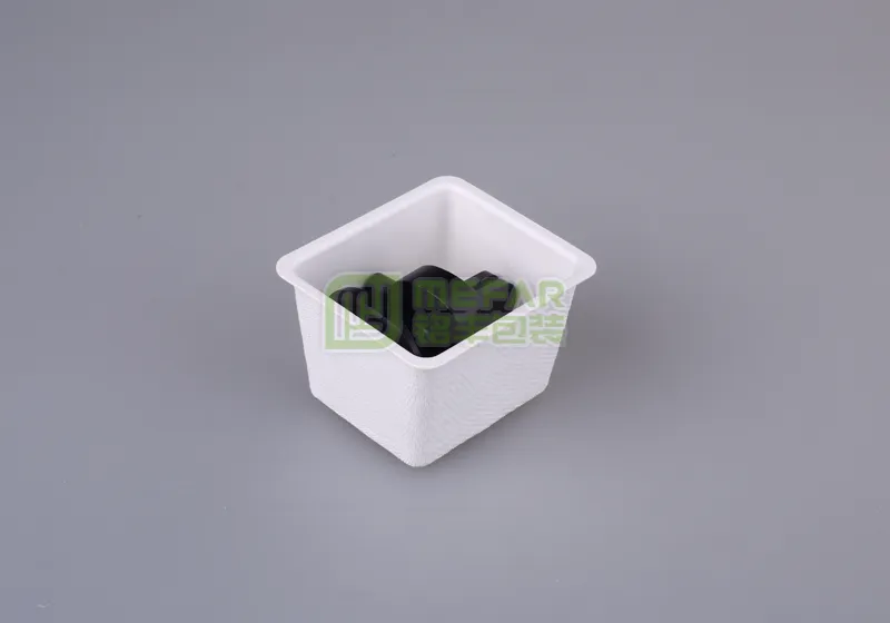 美容仪白色湿压纸托(纸塑) - Imagen 2