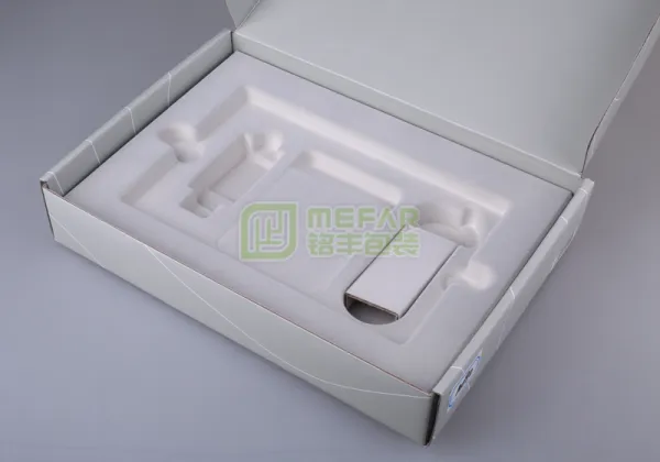 摄像头湿压白色甘蔗浆纸托